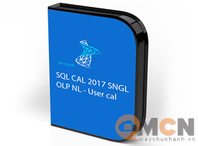 Microsoft SQL Server User Cal 2017 SNGL OLP NL UsrCAL 359-06557